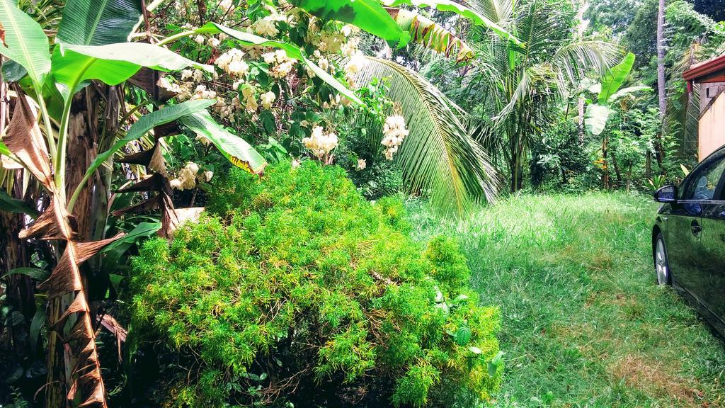 Nature Villa Tangalle Buitenkant foto